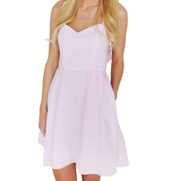 Lauren James Livingston ss dress pink white strip xs nwt - Picture 6 of 6